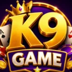 K9 Game